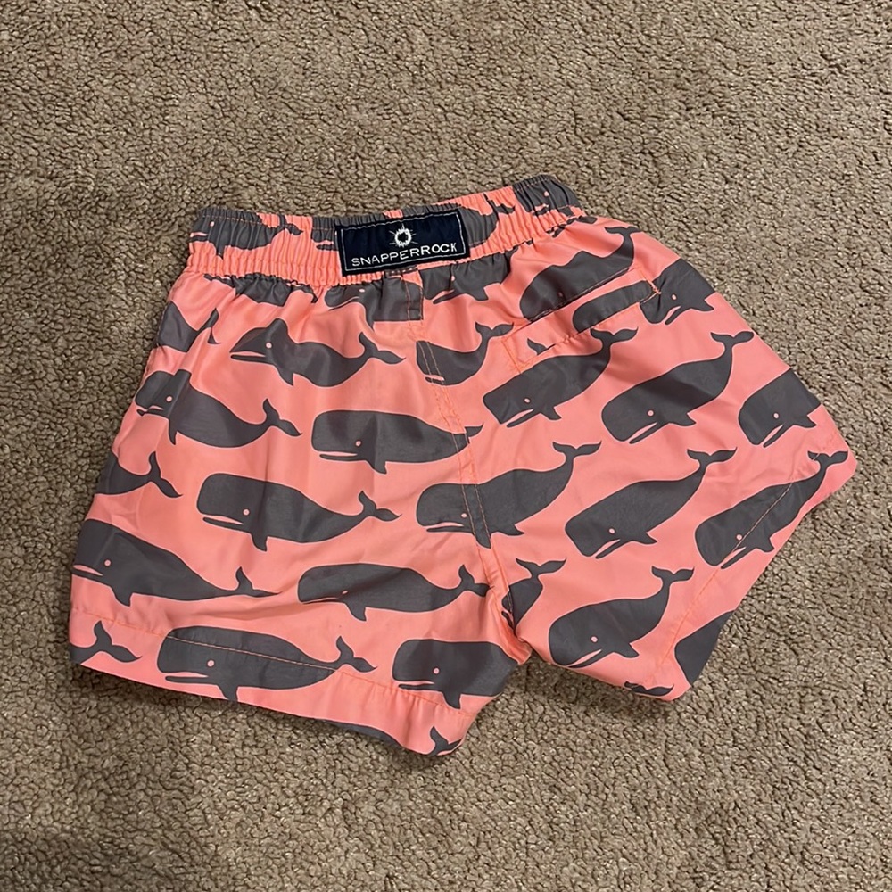 Snapperrock Boys swim shorts bathing suit, size 1-2 yr - Picture 2 of 4
